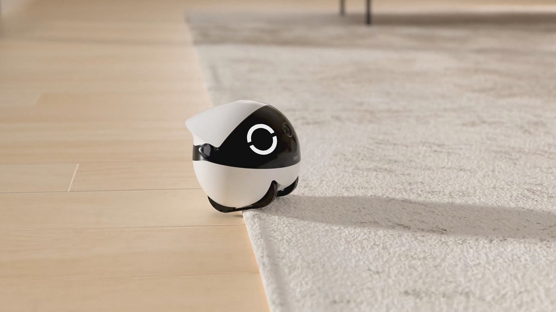 robot-gia-dinh-mini-rola_8