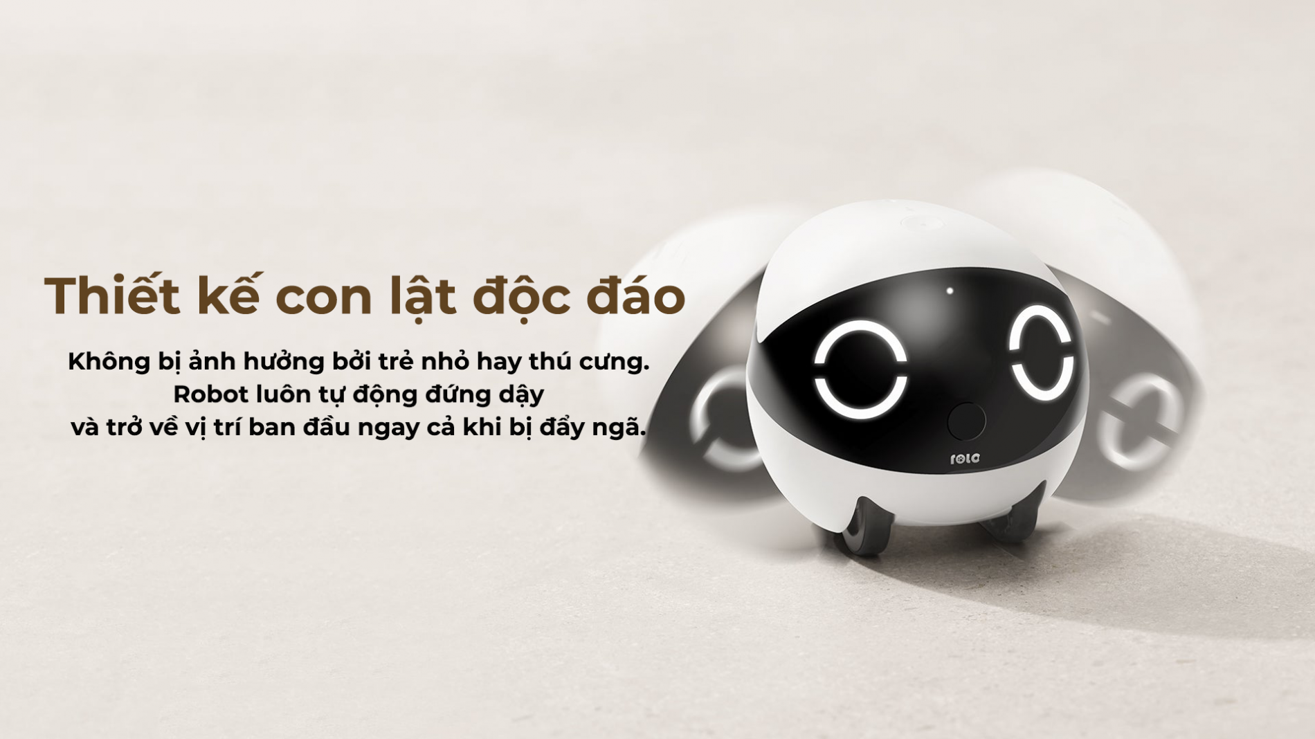 robot-gia-dinh-mini-rola_9