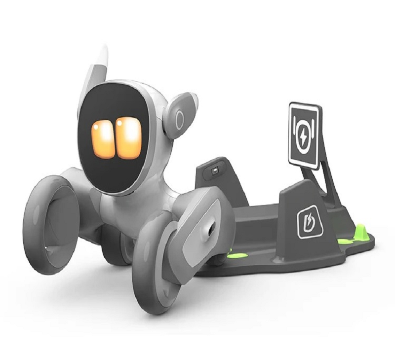 Hướng dẫn sử dụng Robot Loona